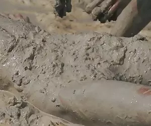 Cuervo negro - cornudo fantasías