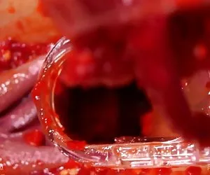 Él encuentra a su viejo padre tirando a su GF